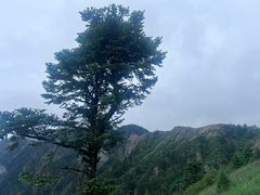 -九峰山