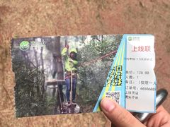 -芦仙山景区-飞越丛林探险乐园