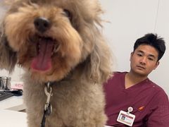 -艾贝尔宠物医院 ·中兽医·宠保定点(北门桥店)