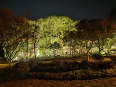 -普陀山雷迪森庄园