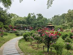 -东湖落雁景区