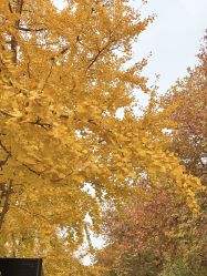 -季橙月子护理中心