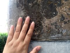 iphone_upload_pic-赵州桥景区