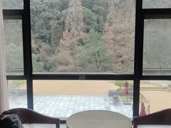 -天明山温泉大酒店