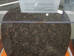 -中国茶叶博物馆(双峰馆区)