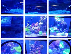 -成都浩海立方海洋公园