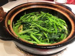 -煲煲好(朝阳门店)