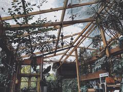 -懒鱼时光馆(沙坪坝店)