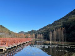 -广州市石门国家森林公园