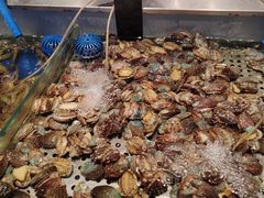 -SEA西雅图海鲜自助餐厅(正义店)