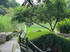 -成都市活水公园