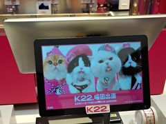 -K22.酸奶草莓(长春上海路万达店)