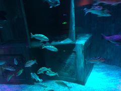 -沈阳海洋探索中心