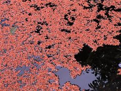 -成都中医药大学(温江校区)