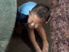 -宁海森林温泉