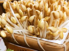 井水黄豆芽-巴奴毛肚火锅概念餐厅
