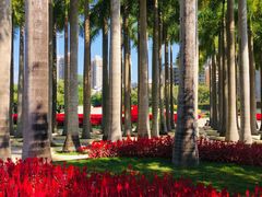 -深圳国际园林花卉博览园