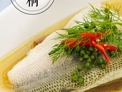 -梧桐