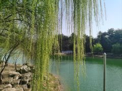 -天目湖涵田度假村