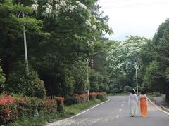 -酒仙湖景区