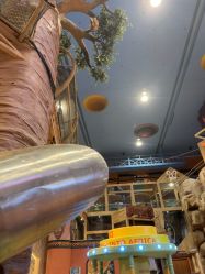 点击看大图 -卡通尼·Safari非洲探索乐园·生日会(金桥国际商业广场店)