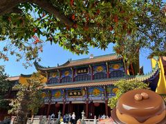 -宝通禅寺