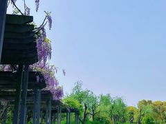 -黄兴公园