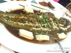-新陶陶酒家