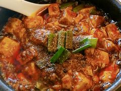 -陈麻婆豆腐总店