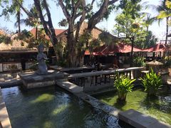 -Rock Bar Bali(Bali)