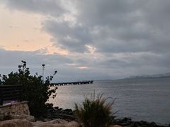 -深圳湾公园(南山区)
