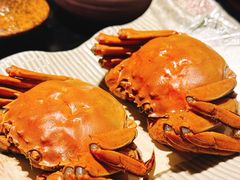 -松鹤精致料理(五一中路店)