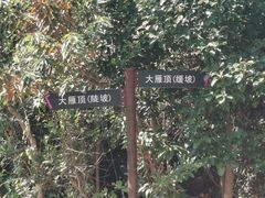 -杨梅坑