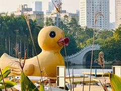 -荔枝公园(福田区)