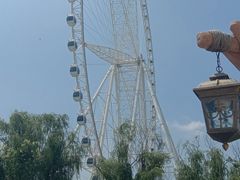 -祥源·阜阳生态乐园