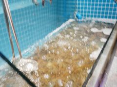 -曼格活海鲜·牛排自助(光明蓝鲸店)