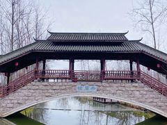 -合肥滨湖国家森林公园