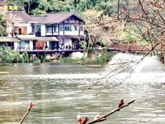 -重庆彩云湖湿地公园