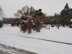 -长春市南湖公园