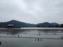-顺峰山公园