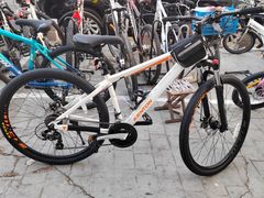 -道路口单车爱瓦士dahon大行