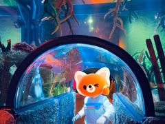 -沈阳海洋探索中心