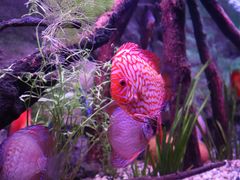 -上海海洋水族馆