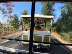 -漩门湾国家湿地公园