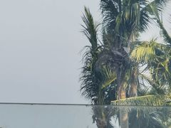 -半山半岛洲际度假酒店·观海廊