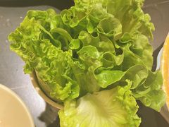-蜀大侠火锅(四川北路店)