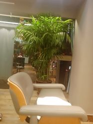 -藤野造型·烫发染发