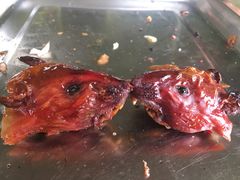 -阿鸟农庄(石壁店)