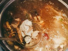 -千岛蚝高压锅生蚝·人参火锅(白云万达店)