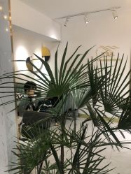 -发饰美男士增发补发假发定制店